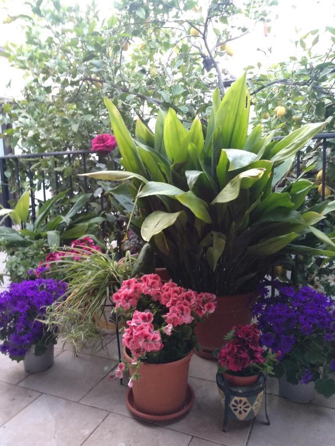 El Patio Andalu Bed & Breakfast Ardales Exterior photo